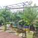 Metal Garden Arch L80.3'' X W20.47'' X H81.1'' Climbing Plants Support Rose Arch Outdoor Black_maomaolike.com