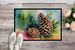 Maine White Pine Cone And Tassels In Watercolor Doormat Front Door Mat Indoor Outdoor Rugs For Entryway, Non Slip Washable Low Pile, 24H X 36W_maomaolike.com