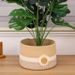 Minimalist Dustproof Rope Cotton Thread Desktop Cosmetic Basket With Lid Underwear Socks Creative Storage Box_maomaolike.com