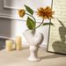 Nautilus Inspired Vase Artistic Ceramic Decor · Minimalist & Refined_maomaolike.com