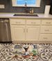 Miniature Pinscher The Chef Memory Foam Kitchen Mat Machine Washable Anti-Fatigue Mat Cushion Comfort Bath Mat Or Kitchen Rug_maomaolike.com