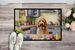 Decorating Easter Goldendoodle Doormat Front Door Mat Indoor Outdoor Rugs For Entryway, Non Slip Washable Low Pile, 24H X 36W_maomaolike.com