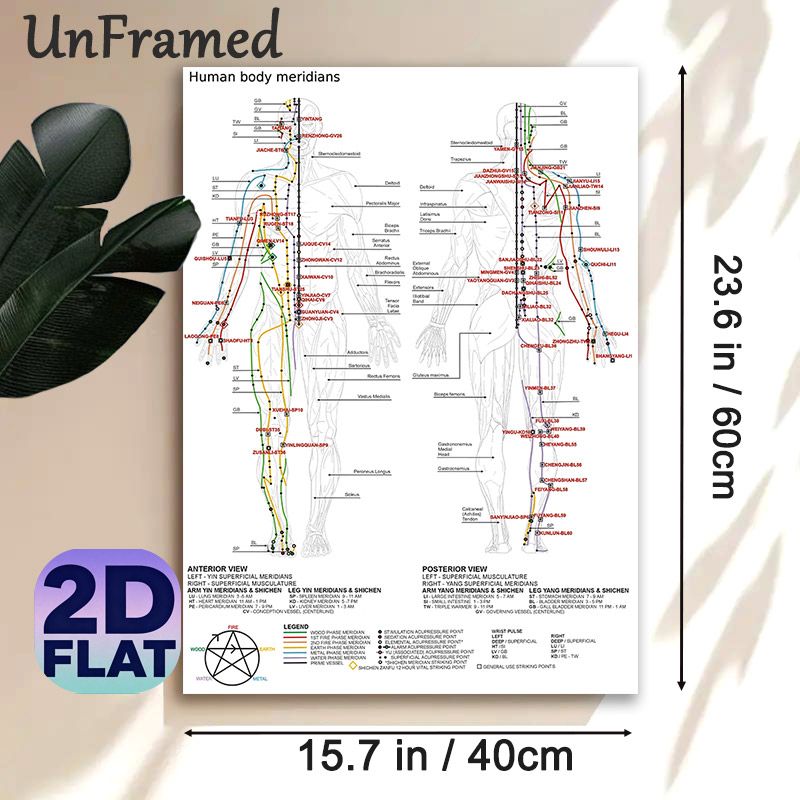 Human Body Meridians Painting Poster, Clear Detailed Anatomical Chart Poster, Educational Reference For Acupuncture Study, Suitable For Clinic And_maomaolike.com