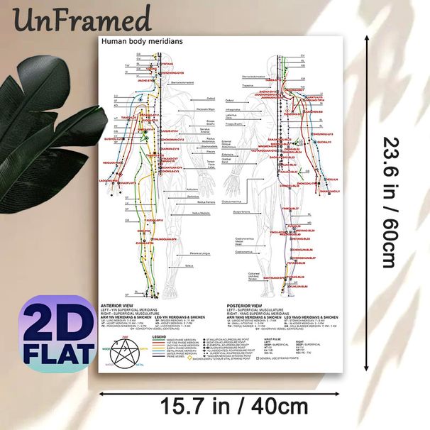 Human Body Meridians Painting Poster, Clear Detailed Anatomical Chart Poster, Educational Reference For Acupuncture Study, Suitable For Clinic And_maomaolike.com