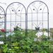 4 Pack Metal Garden Trellis 86.7" X 19.7" Rustproof Trellis For Climbing Plants Outdoor Flower Support Black_maomaolike.com