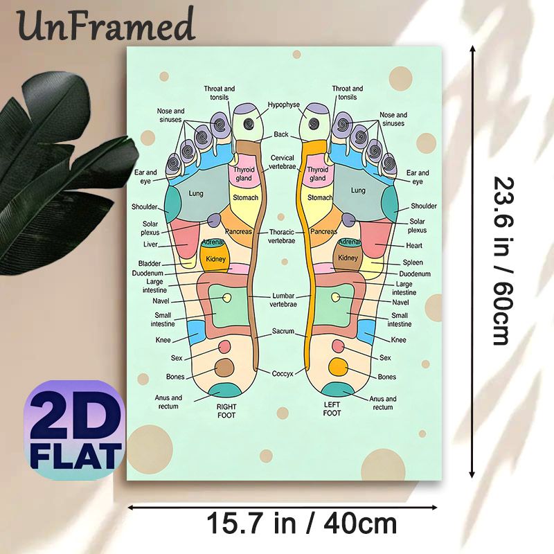 Foot Reflexology Painting Poster, Colorful Labeled Foot Acupressure Chart Poster, Clear Reflex Zone Reference, Suitable For Wellness Studios, Massage_maomaolike.com