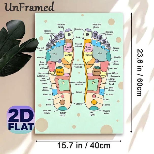Foot Reflexology Painting Poster, Colorful Labeled Foot Acupressure Chart Poster, Clear Reflex Zone Reference, Suitable For Wellness Studios, Massage_maomaolike.com