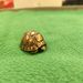Creative Brass Turtle Handheld Piece Office Living Room Desktop Decoration Rich World Solid Ornament_maomaolike.com