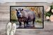 Hippopotamus Doormat Front Door Mat Indoor Outdoor Rugs For Entryway, Non Slip Washable Low Pile, 24H X 36W_maomaolike.com