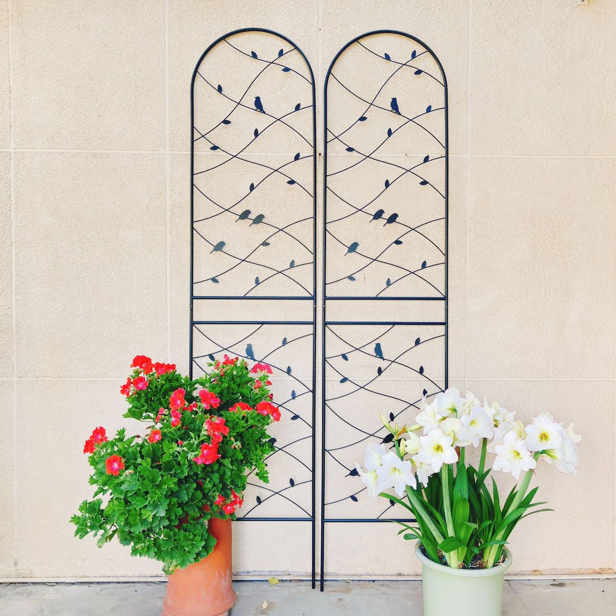 2 Pack Metal Garden Trellis 86.7" X 19.7" Rustproof Trellis For Climbing Plants Outdoor Flower Support Bird Deco Black_maomaolike.com