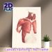 Human Upper Torso Muscle Anatomy Painting Poster, Detailed Vintage-style Anatomical Illustration Poster, Educational Reference Ideal For Medical_maomaolike.com