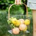 Dried Outdoor Camping Vegetable Transparent Fruit Handheld Multifunctional Bath Desktop Snack Storage Basket_maomaolike.com