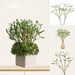 Export Quality Christmas New Year Short Branch Green Nordic Home Flower Arrangement Artificial Plant Mistletoe Wreath_maomaolike.com