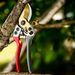 Steel Blade Garden Pruning Shears With Anti-slip Handle, Hand Trimming Tool For Fruit Trees, Vegetable And Plant Branch Cutting
_maomaolike.com