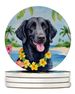 Curly-Coated Retriever Luau Large Sandstone Coasters Pack Of 4 Absorbent Round Coasters Decor Gifts For Men Or Women, 4 In, Multicolor_maomaolike.com