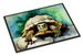 Turtles Tortoises Doormat Front Door Mat Indoor Outdoor Rugs For Entryway, Non Slip Washable Low Pile, 24H X 36W_maomaolike.com