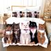 Cute Cat Three Piece 3D Digital Printed Bedding Set, Bed Sheets_maomaolike.com