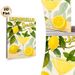 Limoncello Spritz Painting Poster, Bright Citrus & Cocktail Illustration Poster, Refreshing Decor Ideal For Kitchen And Dining Space_maomaolike.com