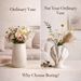 A Vase That Feels Different Modern Sculptural Decor For Stylish Homes_maomaolike.com