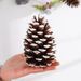 Decoration Pine Cone Acorn Flower Handmade DIY Forest Kindergarten Environmental Creation Dried Branches Wild Creative_maomaolike.com