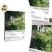 Fishmans Long Season Themed Painting Poster, Vintage Retro Outdoor Woodland Path & Band Members Poster, Nostalgic Music Album Art Ideal For Home_maomaolike.com