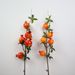 Pomegranate Fortune Home Decoration Fruit Branch Fake Artificial Flower Ornament Bulk Wholesale_maomaolike.com