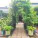 Metal Garden Arch With Plant Pot Garden Arbor Trellis Climbing Plants Support Rose Arch Black_maomaolike.com