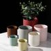 Nordic Style Morandi INS Ceramic Flower Succulent Plant Pot Modern Simple Personality Green Radish Rose_maomaolike.com