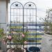 4 Pack Metal Garden Trellis 86.7" X 19.7" Rustproof Trellis For Climbing Plants Outdoor Flower Support Black_maomaolike.com