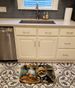 Yorkie Fall Kitchen Pumpkins Memory Foam Kitchen Mat Machine Washable Anti-Fatigue Mat Cushion Comfort Bath Mat Or Kitchen Rug_maomaolike.com