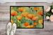 California California Poppies In Watercolor Doormat Front Door Mat Indoor Outdoor Rugs For Entryway, Non Slip Washable Low Pile, 24H X 36W_maomaolike.com