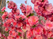 Peach Tree Plum Blossom Fake Branch Wedding Decoration Flower Artificial Plant Outdoor Garden Landscape_maomaolike.com