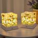 Mirror Tulip Rose Sea Ornament DIY Cube Mirror Ambiance Night Light Gift For Girlfriends And Couples_maomaolike.com