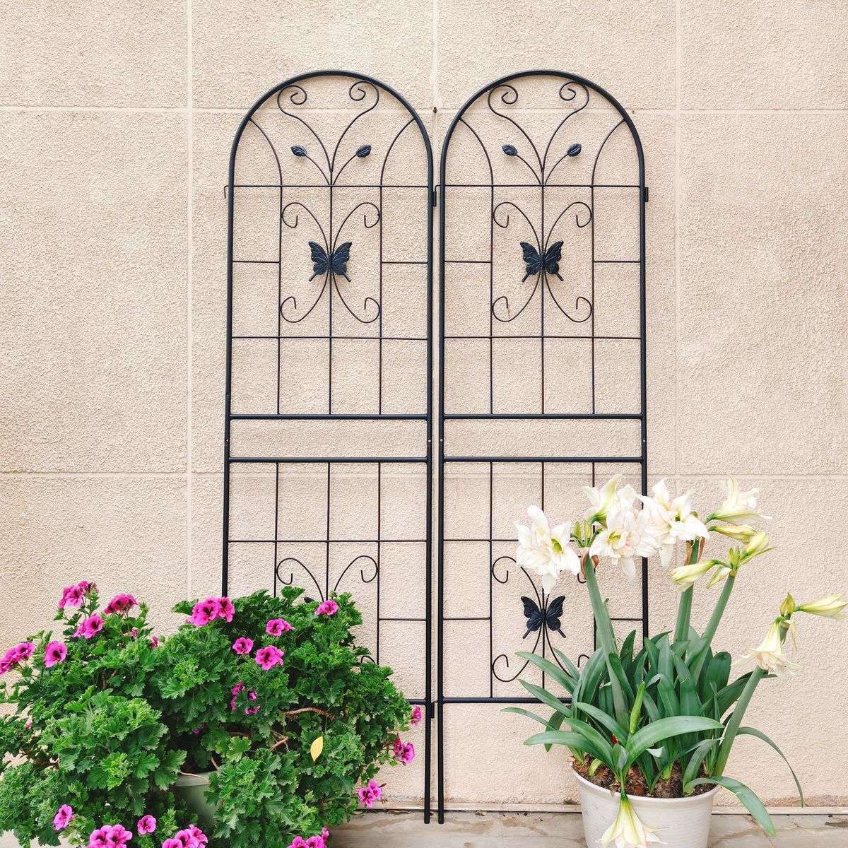 2 Pack Metal Garden Trellis 71" X 19.7" Rustproof Trellis For Climbing Plants Outdoor Flower Support Black_maomaolike.com