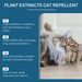 Yegbong Indoor Cat Repellent Spray Pet Repellent To Keep Cats Out Of Bed Indoor Cat Repellent Spray_maomaolike.com