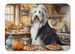 Bearded Collie Fall Kitchen Pumpkins Memory Foam Kitchen Mat Machine Washable Anti-Fatigue Mat Cushion Comfort Bath Mat Or Kitchen Rug_maomaolike.com