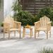 Outdoor Wood Armchair Wooden Patio Dining Chair With Armrests For Various Outdoor Space_maomaolike.com