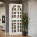 Shoe Cabinet, 8-Tier Shoe Rack Organizer With Doors And Led Lights_maomaolike.com