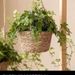 Hanging Plants, Baskets, Hanging Pots_maomaolike.com