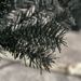 7ft Pencil Christmas Tree, Unlit Artificial Christmas Tree Slim Douglas Fir Xmas Tree With Realistic Branches, Halloween Tree With 818 Tips, Black_maomaolike.com