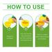 Yegbong Fruit Fly Trap Supplement Set, Fruit Fly Lure Water Physical Trap Fruit Fly Trap Agent_maomaolike.com
