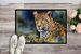 Leopard Doormat Front Door Mat Indoor Outdoor Rugs For Entryway, Non Slip Washable Low Pile, 24H X 36W_maomaolike.com