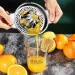304 Stainless Steel Fruit Lemon Orange Household Small Creative Portable Manual Juicer Kitchen Accessories_maomaolike.com