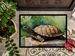 Turtles Tortoises Doormat Front Door Mat Indoor Outdoor Rugs For Entryway, Non Slip Washable Low Pile, 24H X 36W_maomaolike.com