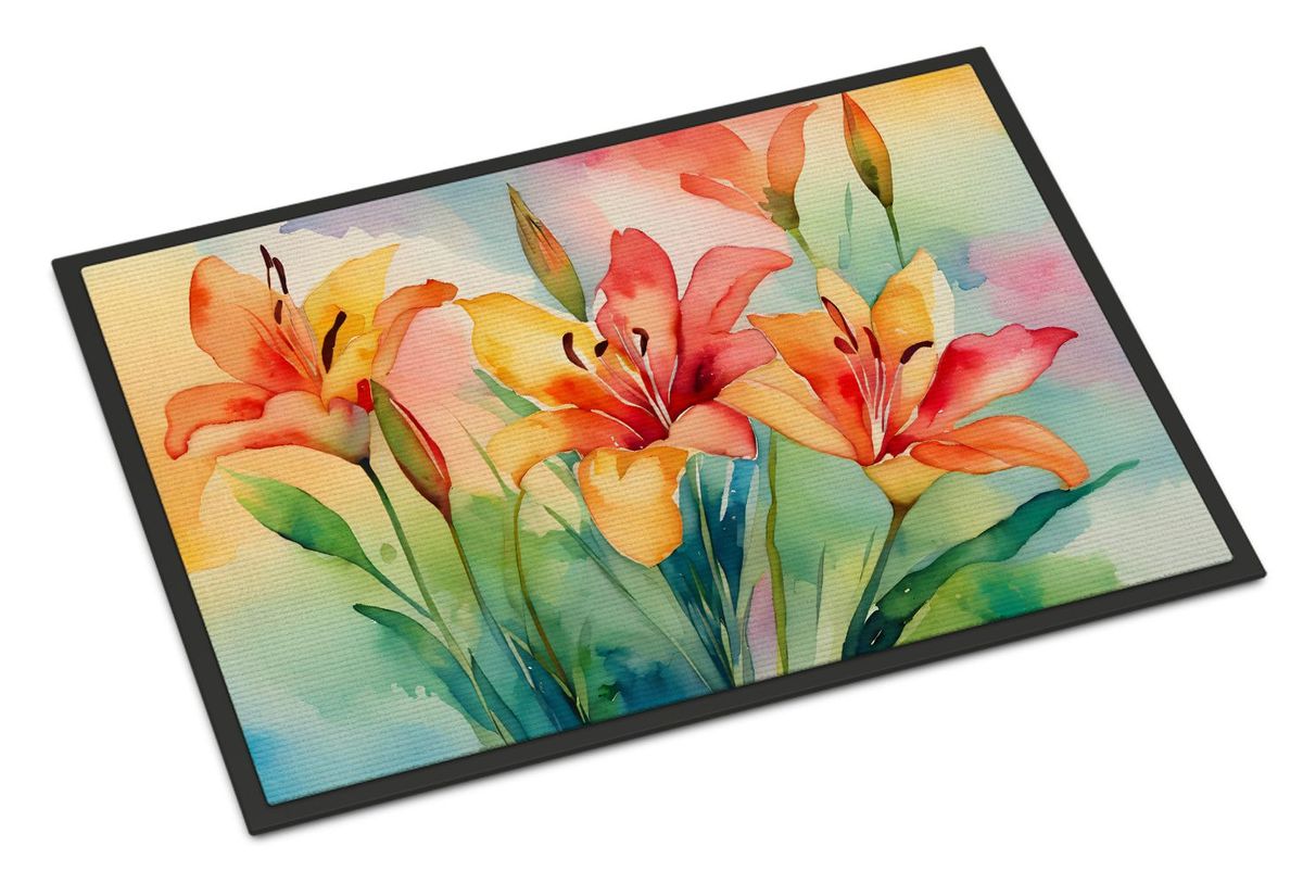 Lilies In Watercolor Doormat Front Door Mat Indoor Outdoor Rugs For Entryway, Non Slip Washable Low Pile, 24H X 36W_maomaolike.com