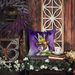 Boxer King Of Mardi Gras Throw Pillow Machine Washable, Indoor Outdoor Decorative Pillow For Couch, Bed Or Patio, 14Hx14W_maomaolike.com