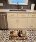 Scottish Terrier Fall Kitchen Pumpkins Memory Foam Kitchen Mat Machine Washable Anti-Fatigue Mat Cushion Comfort Bath Mat Or Kitchen Rug_maomaolike.com