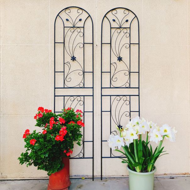 2 Pack Metal Garden Trellis 86.7" X 19.7" Rustproof Trellis For Climbing Plants Outdoor Flower Support Peacock Style Black_maomaolike.com