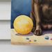 Chocolate Labrador Retriever Happy Birthday House Flag Large Porch Sleeve Pole Decorative Outside Yard Banner Artwork Wall Hanging, Polyester, House Size, Multicolor_maomaolike.com