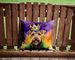 Welsh Terrier King Of Mardi Gras Throw Pillow Machine Washable, Indoor Outdoor Decorative Pillow For Couch, Bed Or Patio, 14Hx14W_maomaolike.com